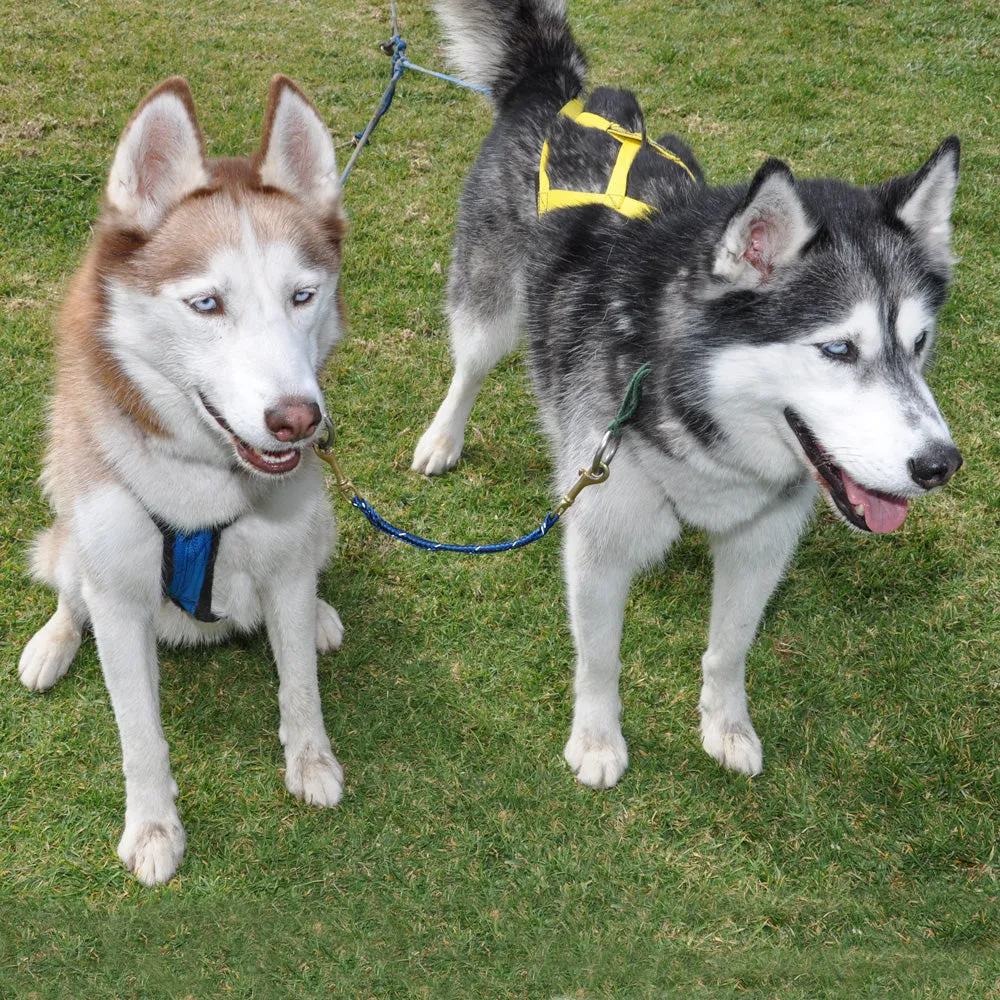 Double Neckline for Skijoring