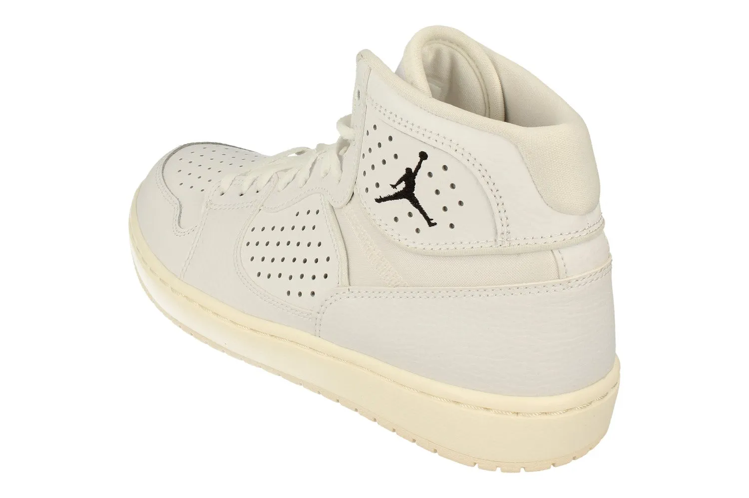 Nike Air Jordan Access Mens Basketball Trainers AR3762 100