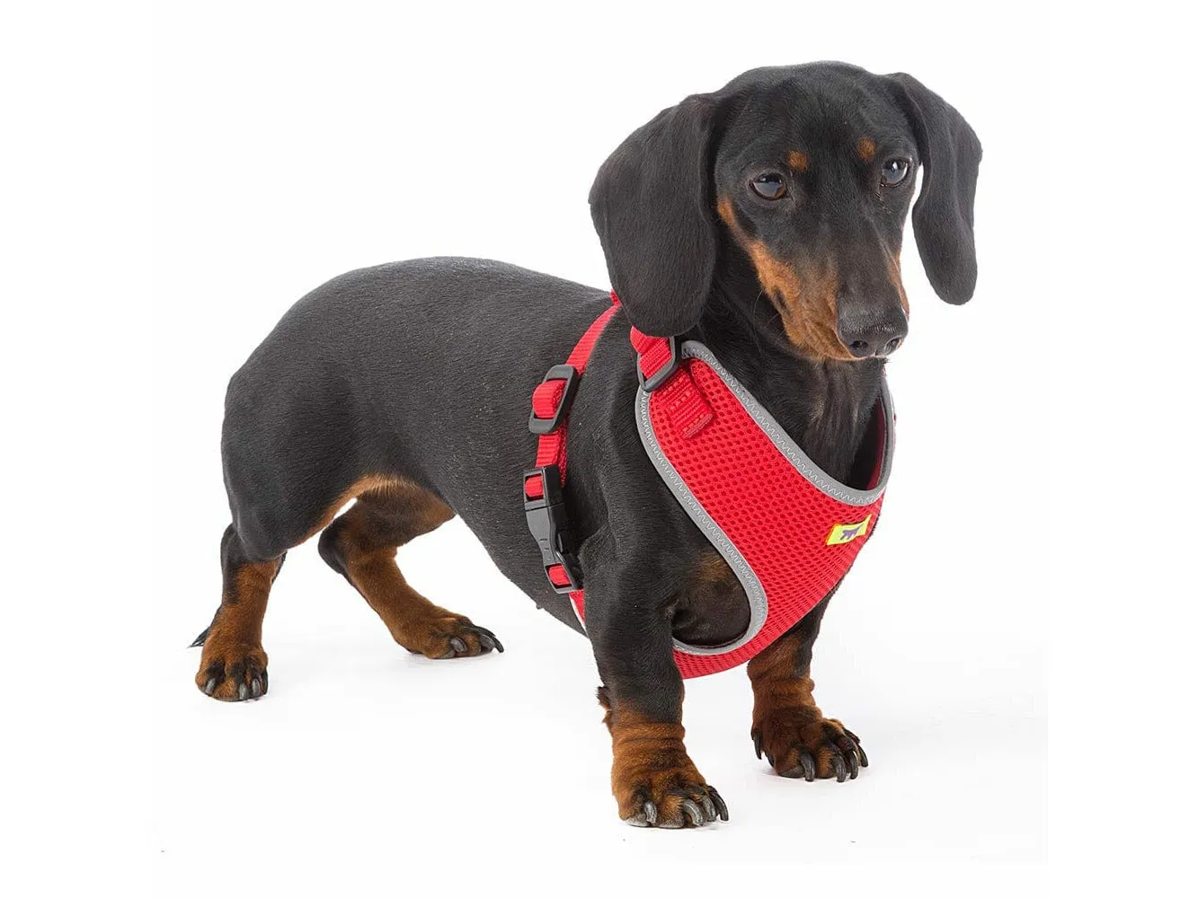 Nikita P Xs Harness Red