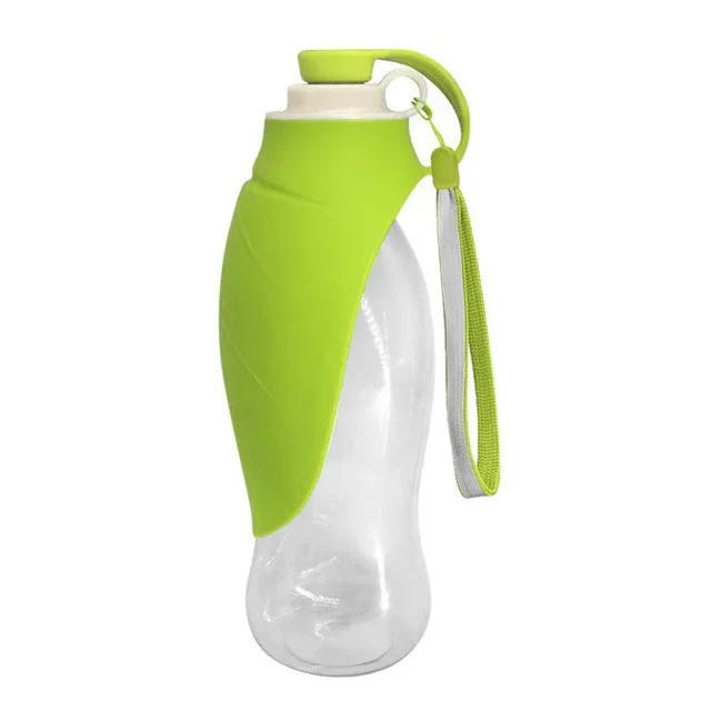 Squeezable Water Bottle & Feeder