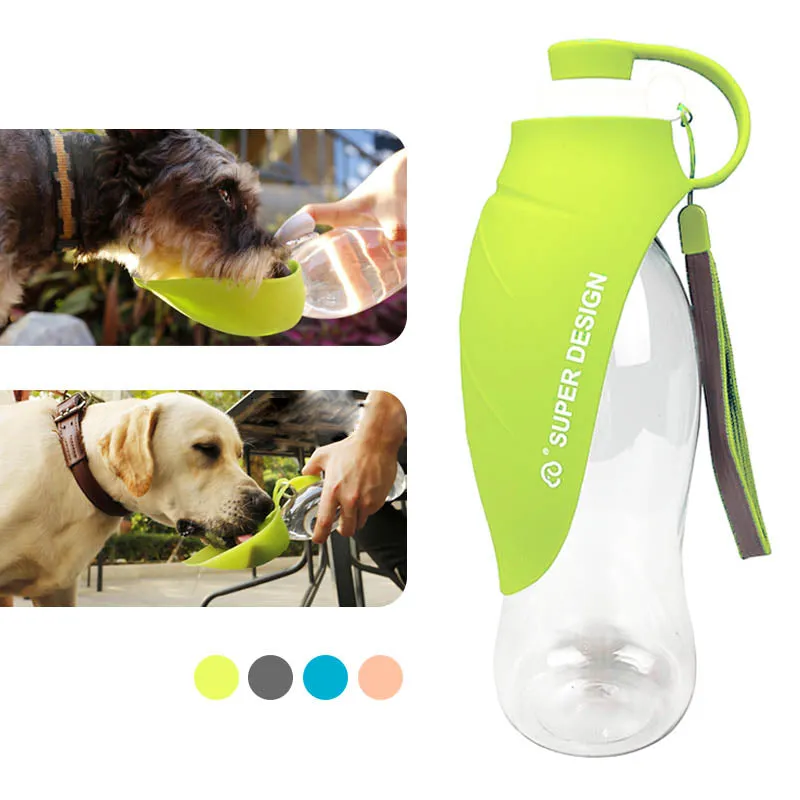 Squeezable Water Bottle & Feeder